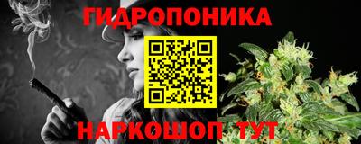 соль ск Кингисепп