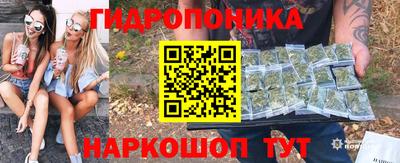 соль ск Кингисепп